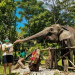 13+ Tempat Wisata Jogja yang Ramah Anak, Cocok untuk Liburan Keluarga