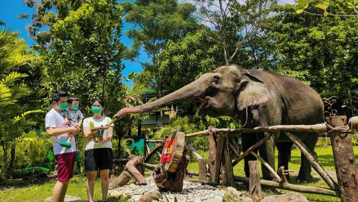 13+ Tempat Wisata Jogja yang Ramah Anak, Cocok untuk Liburan Keluarga